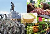 9 sản phẩm nông sản có giá trị xuất khẩu trên 1 tỷ USD