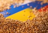 Xuất khẩu ngũ cốc của Ukraine tăng mạnh trong tháng 5