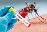 Bộ Y tế: Số mắc sốt xuất huyết liên tục tăng, không quyết liệt phòng chống, dịch có thể bùng phát diện rộng