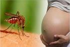 Phụ nữ mang thai có truyền virus Dengue gây bệnh sốt xuất huyết cho con không?