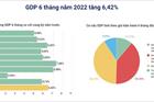 GDP sáu tháng đầu năm 2022 tăng 6,42%