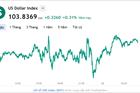 Tỷ giá USD hôm nay 22/2: Cập nhật tỷ giá USD trong nước và quốc tế