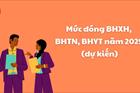 NÓNG: Mức đóng BHXH, BHTN, BHYT năm 2025 khi sửa Luật Bảo hiểm xã hội, Luật Việc làm, Luật Bảo hiểm y tế