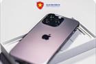 Giả mạo quảng cáo bán iPhone 16 kèm nhiều ưu đãi để chiếm đoạt tài sản